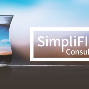 Admiral Plan: 6 Months of Tailored Coaching Services